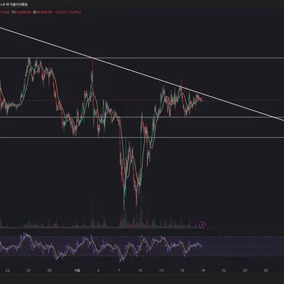 [30일 챌린지 24기 1주차] 윤사머 작도