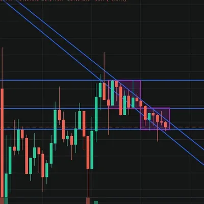 [30일 챌린지 24기 1주차]