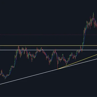 [30일 챌린지 24기 1주차] 