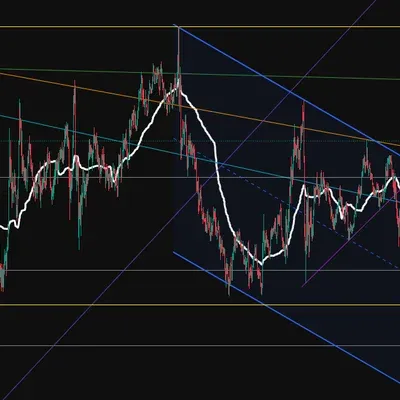 [30일 챌린지 24기 1주차]