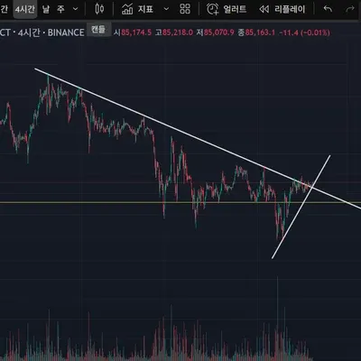 [30일 챌린지 24기 1주차] 작도