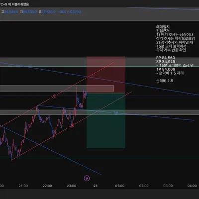 100회 트레이딩 매매일지(4/100)