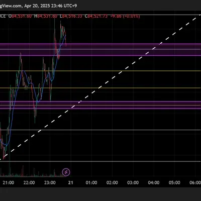 30일 챌린지 24기 1주차