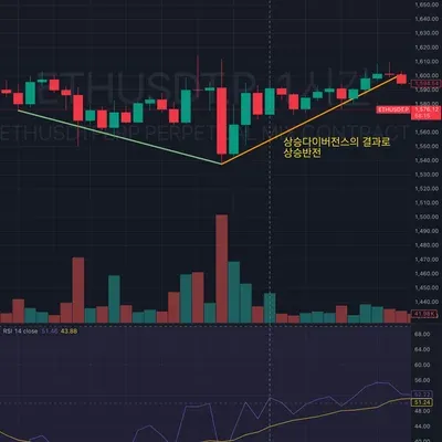 [30일 챌린지 23기 2주차] 상대강도지수 RSI