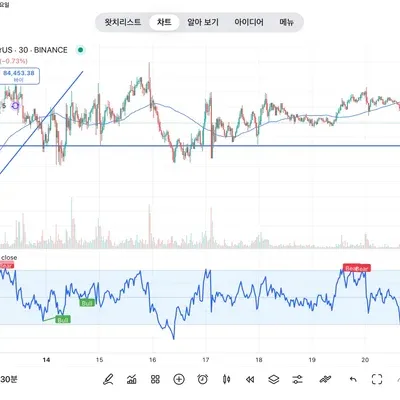 [30일 챌린지 23기 2주차] 상대강도지수 RSI 