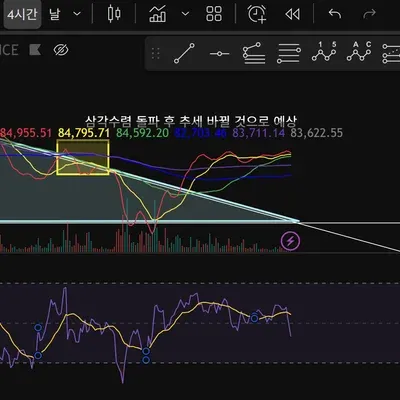 RSI 지표 추가시 노란선 보라선 의미