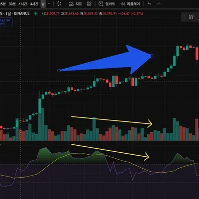 [30일 챌린지 23기 2주차]
