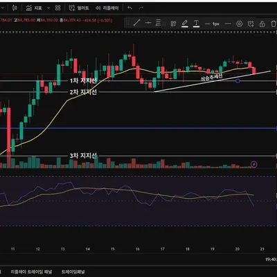 30일 챌린지 - 24기 1주차  1,2,3차 지지선 및 상승추세선 작도