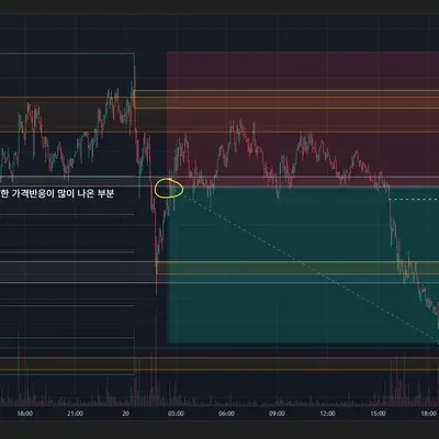 100회 트레이딩 : 4회
