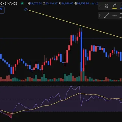 30일 챌린지 23기 2주차