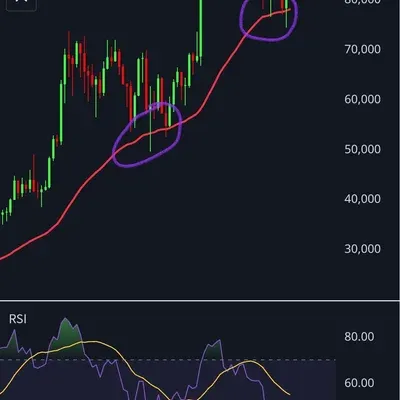 일봉상 300선과 주봉상 50EMA