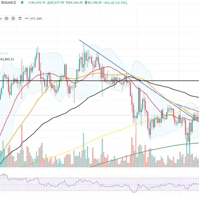 [30일 챌린지 24기 1주차]