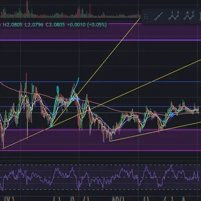 [30일 챌린지 24기 1주차]