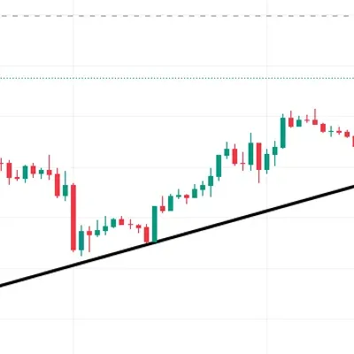 30일 챌린지 24기 1주차 