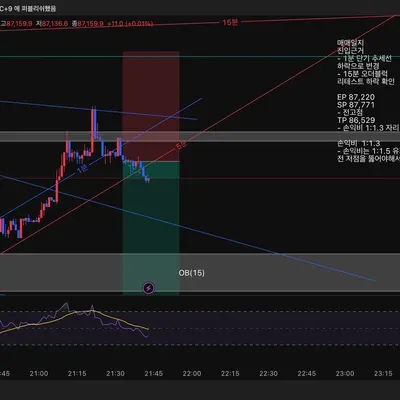 100회 트레이딩 매매일지 (5/100)
