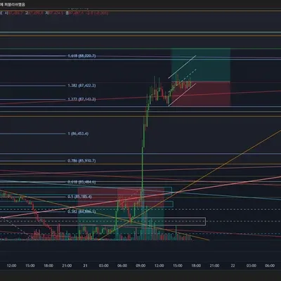 100회 트레이딩 17