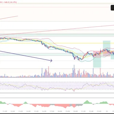 4월 20일(일) 100회 트레이닝(4/100)