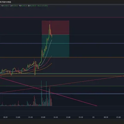 100회 트레이딩 21