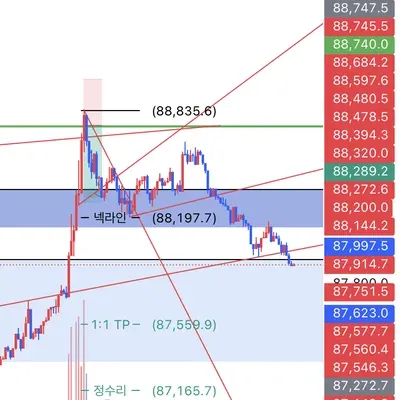 100회 트레이딩(35/100)