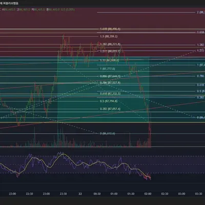 100회 트레이딩 18