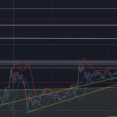 [30일 챌린지 22기 4주차]