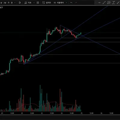  [30일 챌린지 25기 1주차] 지지 저항과 추세선