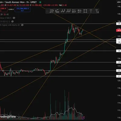 [30일 챌린지 25기 1주차] 지지, 저항, 추세선  + 4일차 미션 소감