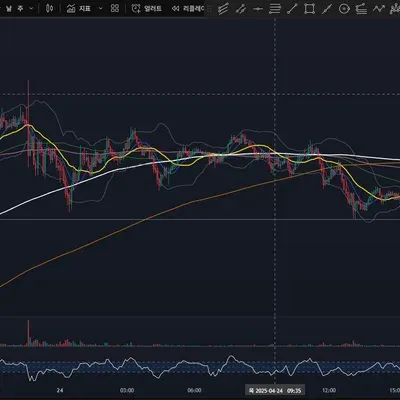 [30일 챌린지 1기 1주차] 나만의 트레이딩뷰 셋업