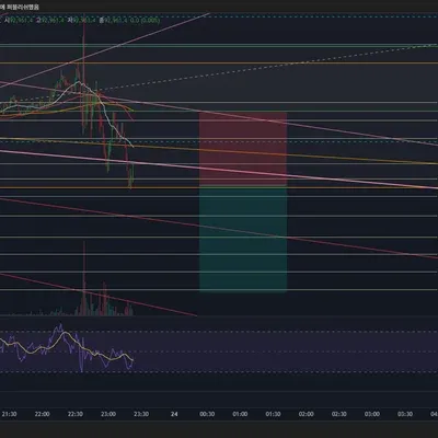 100회 트레이딩 23