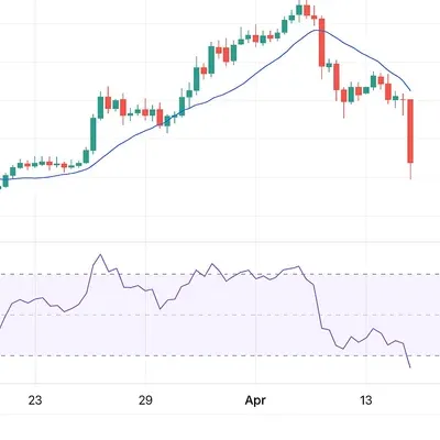 30일 챌린지 24기 2주