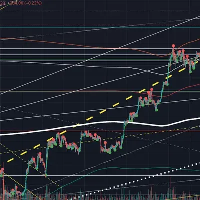 [30일 챌린지 24기 1주차]