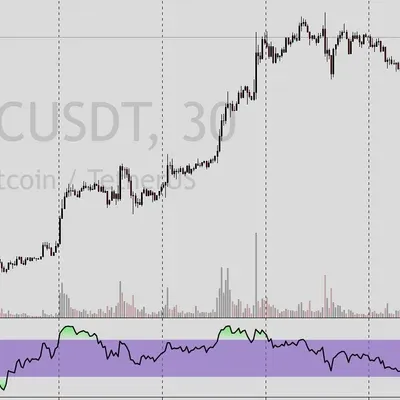 [30일 챌린지 24기 2주차]  RSI 지표 추가