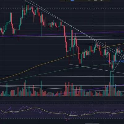 : [30일 챌린지 1기 1주차] 