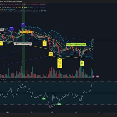 [30일 챌린지 1기 1주차] 4일차 mission 나만의 트레이딩뷰 설정