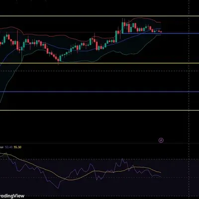 [30일 챌린지 24기 2주차]