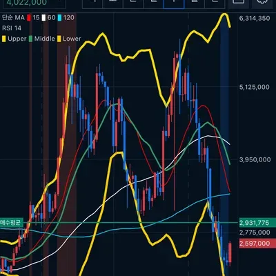 [30일 챌린지 22기 4주차] 익절은 못했으나 일단 수익 구간이라 올립니다