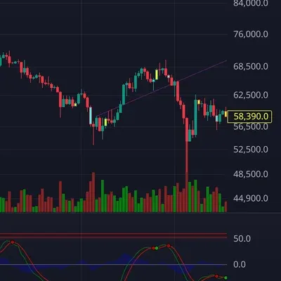 30일 챌린지 25기 1주차