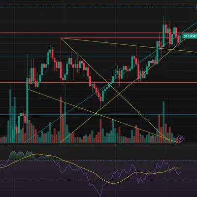 [30일 챌린지 24기 2주차] RSI 보조지표 추가