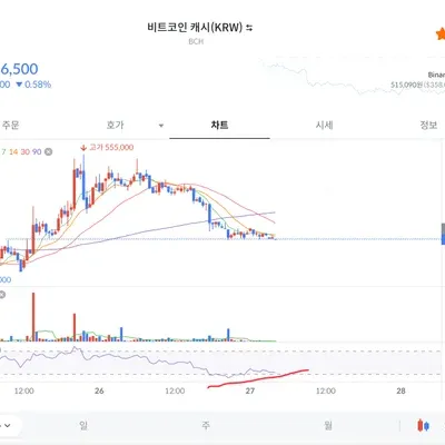 [30일 챌린지 23기 3주차] 매매일지 - 비트코인캐시 손실