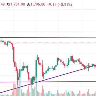 [30일 챌린지 25기 1주차] 지지 저항과 추세선
