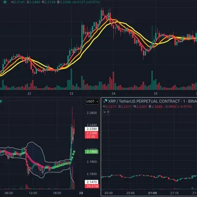 [30일 챌린지 1기 1주차] 트레이딩뷰 셋업