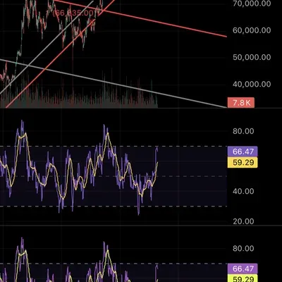 [30일 챌린지 24기 2주차]