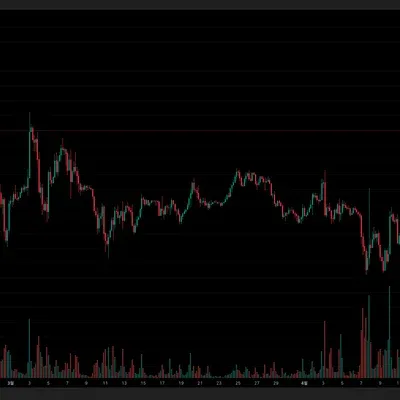 [30일 챌린지 1기 1주차] 트레이딩뷰 세팅