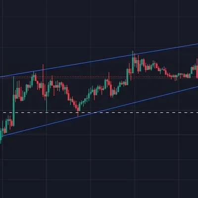[30일 챌린지 25기 1주차]
