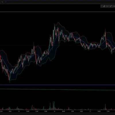 [30일 챌린지 1기 1주차] 트레이딩 뷰 세팅!