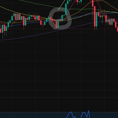 [30일 챌린지 23기 3주차]