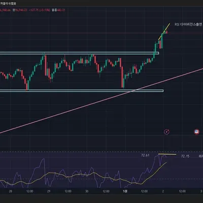 [30일챌린지 1기 2주차 ] 11일차 미션 RSI 다이버전스찾기 