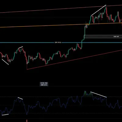 [30일 챌린지 1기 2주차] 11일차 MISSION _ 다이버전스 체크