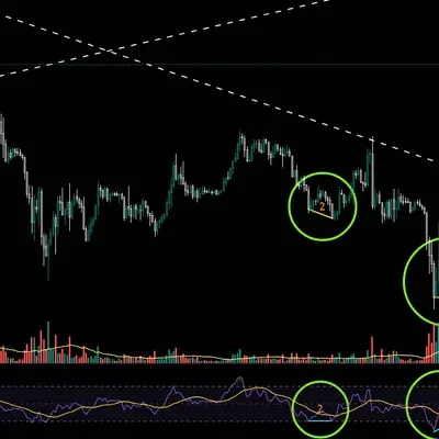 [30일 챌린지 1기 2주차] RSI 다이버전스, 볼린저밴드 이해하기 