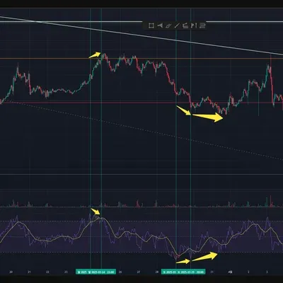 [30일 챌린지 1기 2주차] 11일차 미션 - 다이버전스